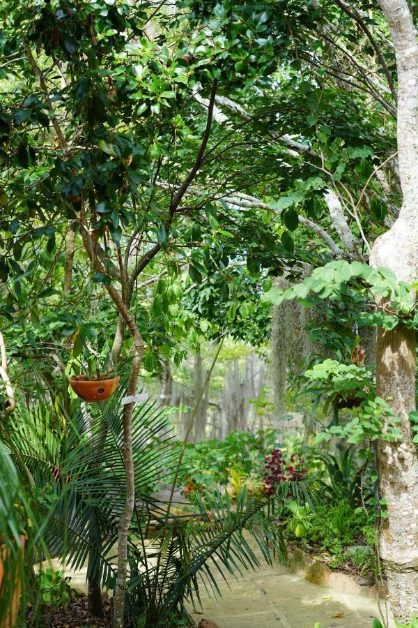El Paraiso Posada Finca San Vicente Barichara Exterior photo